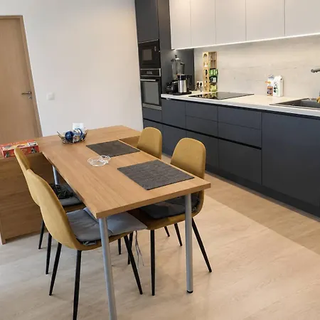 Brand-new Quiet Flat Near Kadriorg, Song Festival