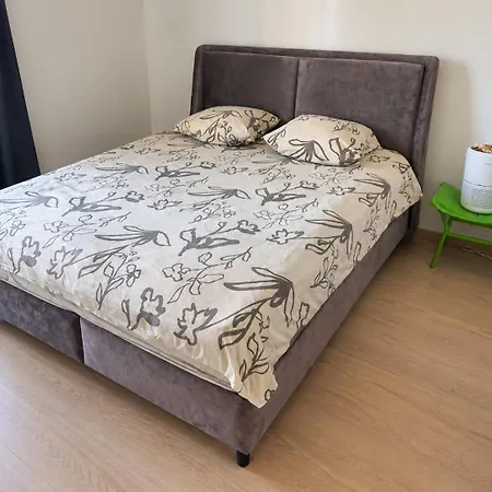 Brand-new Quiet Flat Near Kadriorg, Song Festival